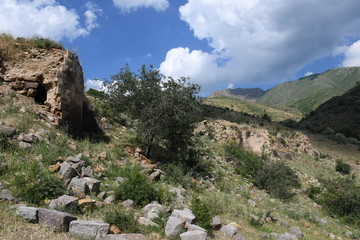 Ruined wall of a medieval castle in Armenia. tree and old castle. tree and wall of an old castle n blue sky. wall of a medieval castle. ruined wall against the blue sky. blue sky. ruined wall. green t