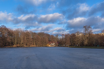 A winter city landscape. A frozen pond in an empty park at the end of the day. White House. Birds on the ice.