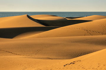 Fototapeta na wymiar Maspalomas dunes in Gran Canaria in sunrise light.