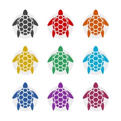 Sea turtle color sign set isolated on white background