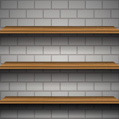 Shelves of a brick wall vector