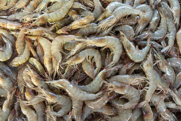 Raw shrimp for human consumption. Food of animal origin.