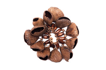 Bracelet from dried fruits of a plant.