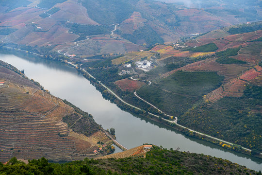 Aerial view of river passing through valley, Sao Leonardo De Galafura, Peso da R�gua, Vila Real, Douro Valley, Portugal