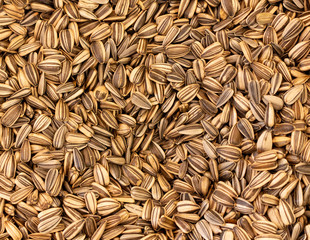 Numerous sunflower seeds. Natural plant-based food for vegans and vegetarians.