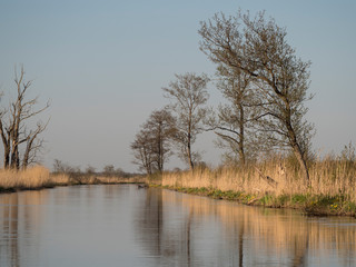 Fototapeta na wymiar Paysage, arbres au bord d'une rivière - Estonie