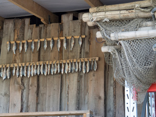 Poissons séchés suspendus - Estonie