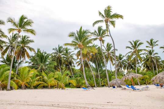 View of the tropical island near ocean. The caribbean sea. Dominican Republic. Turquoise water. White sand beach and palm forest. Beautiful coast. Weekend or vacation concept.