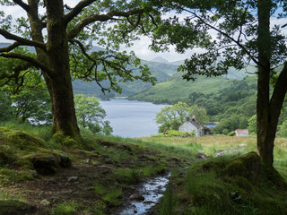 Fototapeta na wymiar Paysage écossais - Highlands - Ecosse