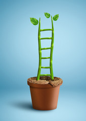 successful growth creative concept, plant as ladder