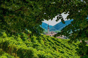 The  land of Valdobbiaadene and Conegliano