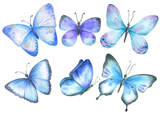 Set with blue watercolor butterflies.