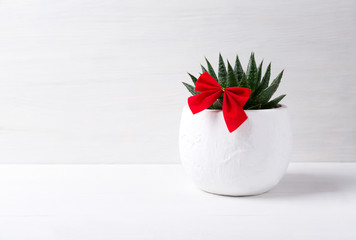 Cactus with Christmas decorations on white background, concept of new year and holidays. Copy space.