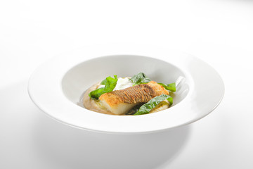 Breaded Fried Halibut Fillet with Parsnip Puree Isolated