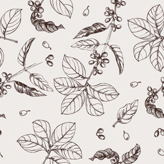 Coffee branches pattern. Vintage background with coffee leaves