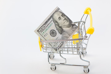 shopping cart with money isolated on white