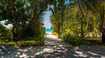 Resting on the beach with a green sun bed and a wonderful beach with aquamarine water 