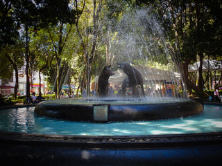 Fuente en Coyoacan, Mexico