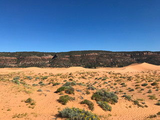 Coral Pink Sand Dunes State Park, Utah