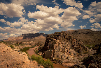 river in a canyon in Arizona