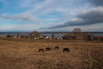 Grieben Hiddensee