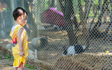 Portrait of boy and gray rabbit. outdoor
