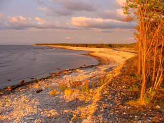 gorgeous sunset landscape background, pebble beach