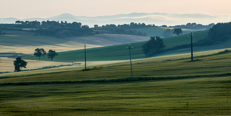 Verdant fields south of Lake Trasimeno, Umbria, Italy