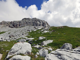 le meravigliose cime dolomitiche italiane tra verdi vallate e picchi rocciosi