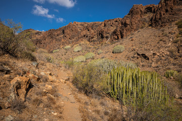 Fototapeta na wymiar Barranco Hondo canyon in Gran Canaria in Canary Islands