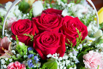 Red flower picture close up in the bouquet. The flower's petal . Bouquet of fresh red, white , orange roses . bouquet of multicolored roses .