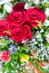 Red flower picture close up in the bouquet. The flower's petal . Bouquet of fresh red, white , orange roses . bouquet of multicolored roses .
