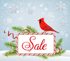 Red cardinal bird and candy frame