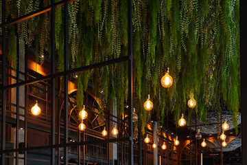 hanging long deciduous plants and burning light bulbs from the ceiling, design