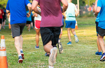 Fototapeta premium Rear view of runners racing on grass in a park