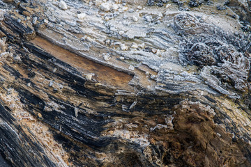 abstract texture of frozen lumber