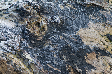 abstract texture of frozen lumber