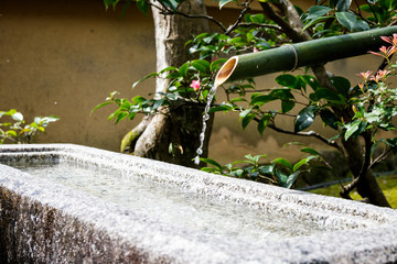 Water flowing from a bamboo spout at a Zen temple