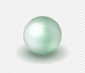 Natural, shiny, sea  pearl. Vector illustration