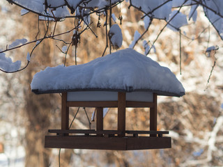 Bird feeder in winter park.