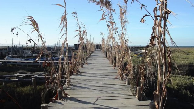 Cais Palaf&iacute;tico da Carrasqueira