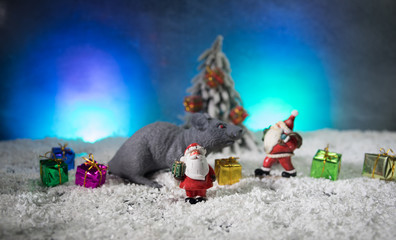 The rat is a symbol Of the new year 2020. decorative cute brown rat around with a Christmas decor and Santa Claus.