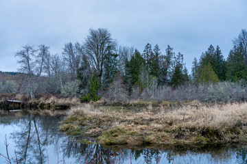 Union River Wetlands In Washington State