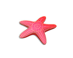 Obraz premium Starfish underwater ocean reef creature graphic cartoon.