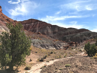 Paria Canyon in Utah