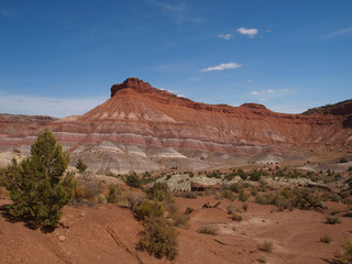 Fototapeta na wymiar Paria Canyon in Utah