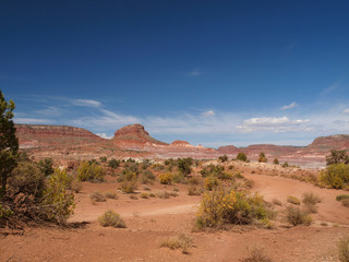 Fototapeta na wymiar Paria Canyon in Utah