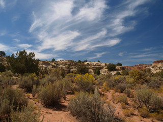 Paria Canyon in Utah