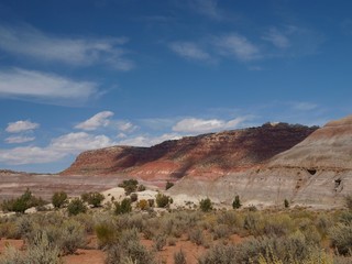 Paria Canyon in Utah