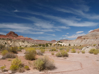 Paria Canyon in Utah